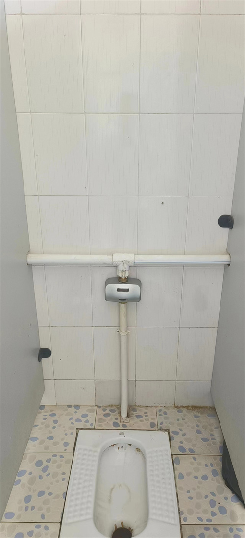 感应冲水器